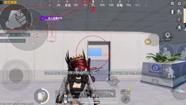 和平精英辅助【飞鸟】